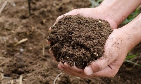 soil as a source of human parasite infection