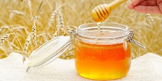the honey helminth